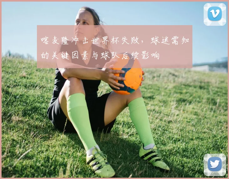 喀麦隆冲击世界杯失败，球迷需知的关键因素与球队后续影响