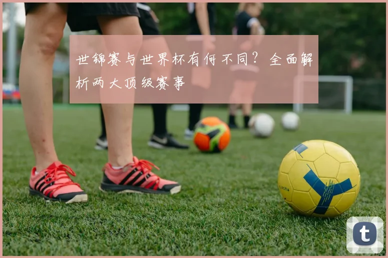 世锦赛与世界杯有何不同？全面解析两大顶级赛事