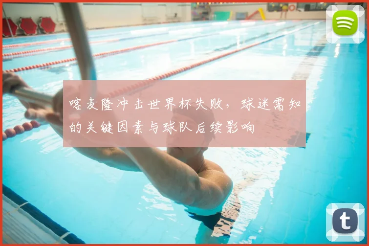 喀麦隆冲击世界杯失败，球迷需知的关键因素与球队后续影响